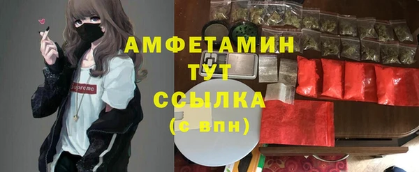 стаф Алзамай