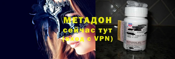 стаф Алзамай