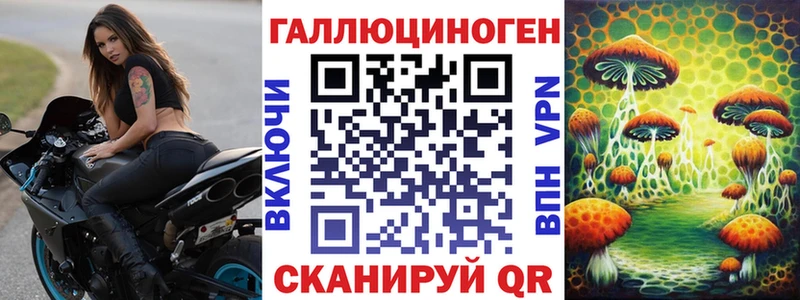 Псилоцибиновые грибы Psilocybe  Балабаново 